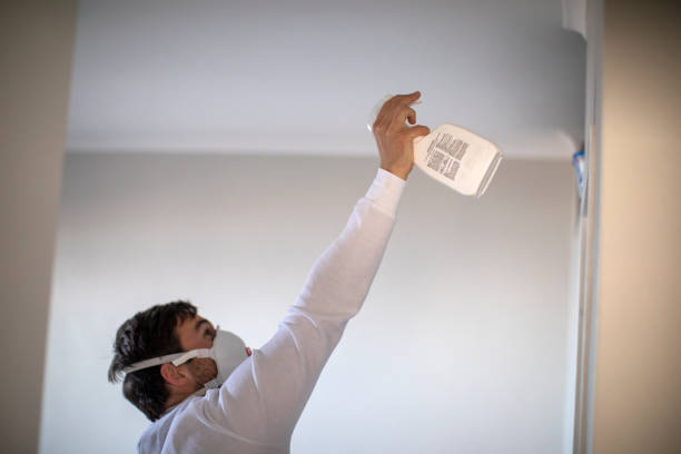 Mold Testing and Removal in Redlands, CA