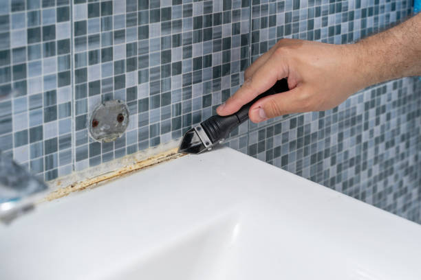 Best Mold Testing and Removal  in Redlands, CA