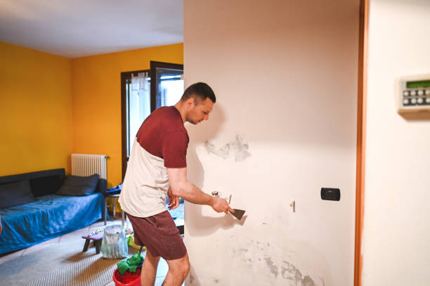 Best Local Mold Removal Service  in Redlands, CA