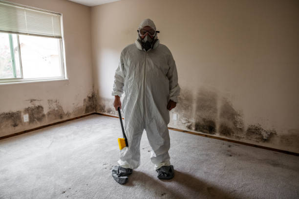 Redlands, CA Mold Removal Company