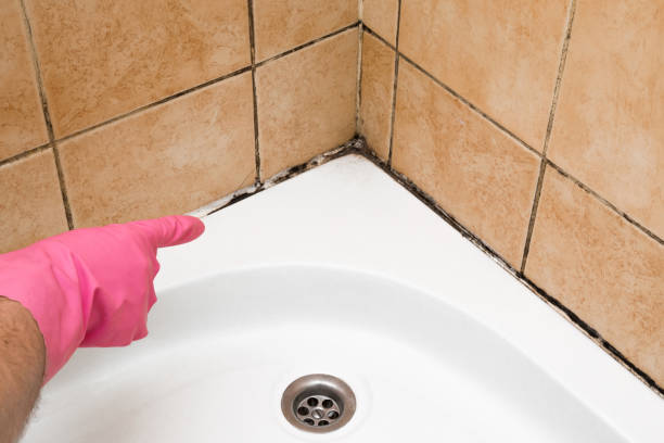 Best Crawl Space Mold Removal  in Redlands, CA